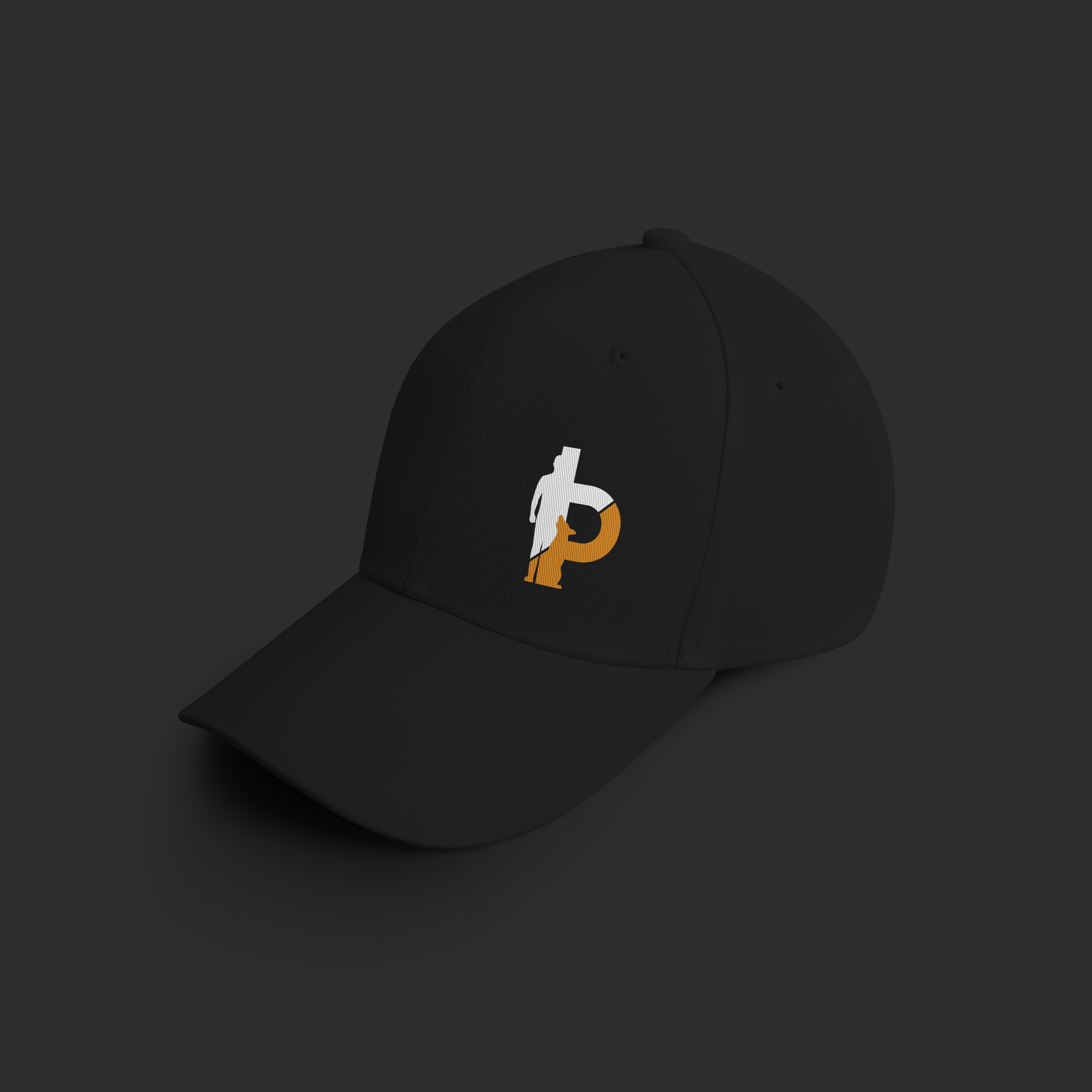 Hat Position Basic Position Snapback Hat